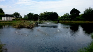 2014-09-08 11.18.49.jpg