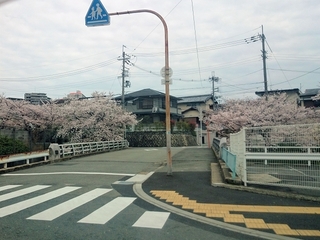 2015-04-04 14.40.17.jpg